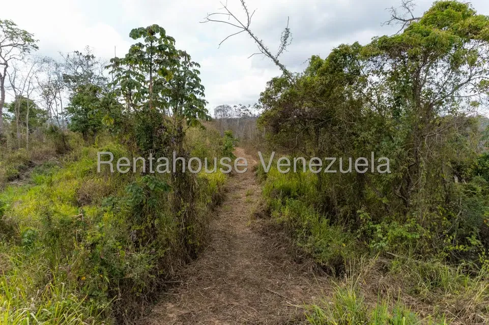 Terreno (Residencial) en Venta en Sabaneta, Distrito Metropolitano - 14