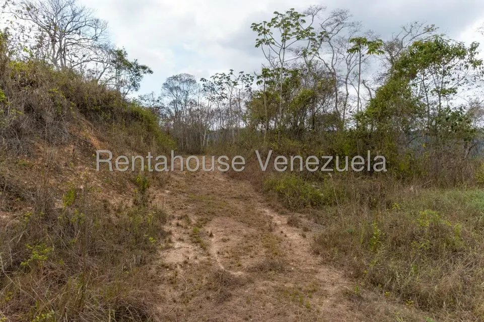 Terreno (Residencial) en Venta en Sabaneta, Distrito Metropolitano - 15