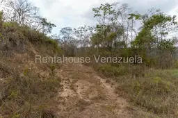 View 15