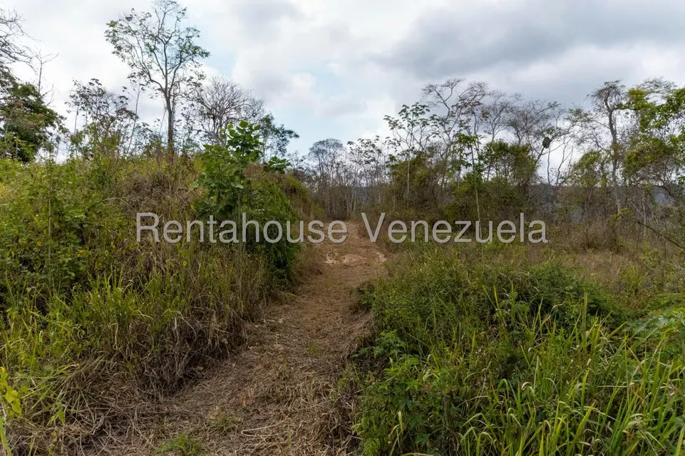 Terreno (Residencial) en Venta en Sabaneta, Distrito Metropolitano - 16