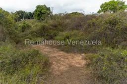View 18