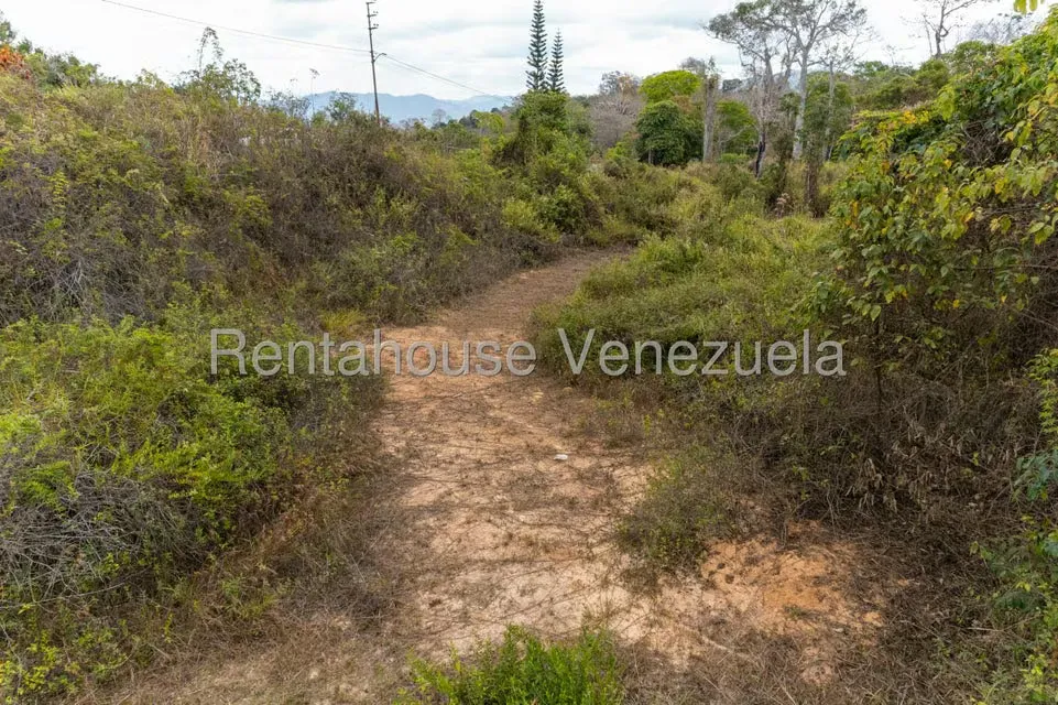 Terreno (Residencial) en Venta en Sabaneta, Distrito Metropolitano - 19
