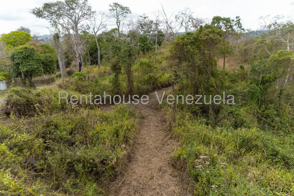 Terreno (Residencial) en Venta en Sabaneta, Distrito Metropolitano - 20