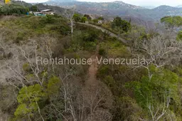View 7