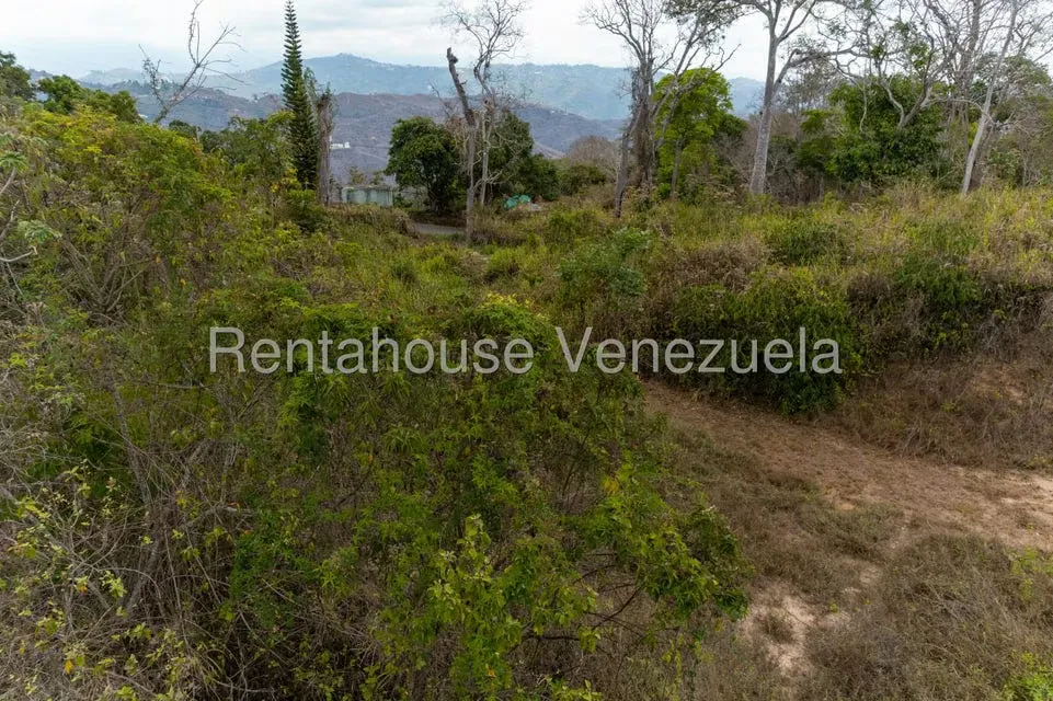 Terreno (Residencial) en Venta en Sabaneta, Distrito Metropolitano - 10
