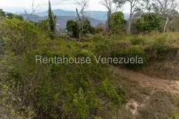 View 10