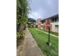 Vista 19