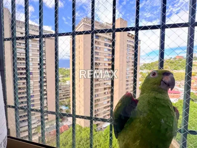 VENTA DE APARTAMENTO EN LA URB. PARQUE HUMBOLTD, MUN. BARUTA - 16