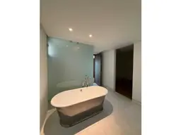 View 37