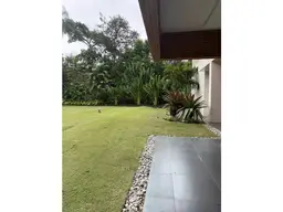 View 62