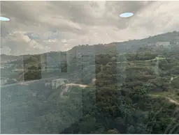 Vista 24