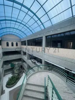 Vista 4
