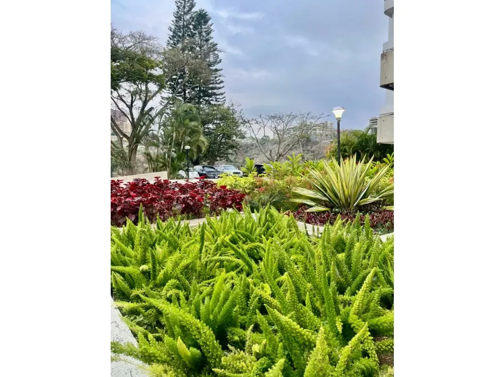 Vendo apartamento en calle cerrada 170m2 Lomas del Mirador 0287 - 3