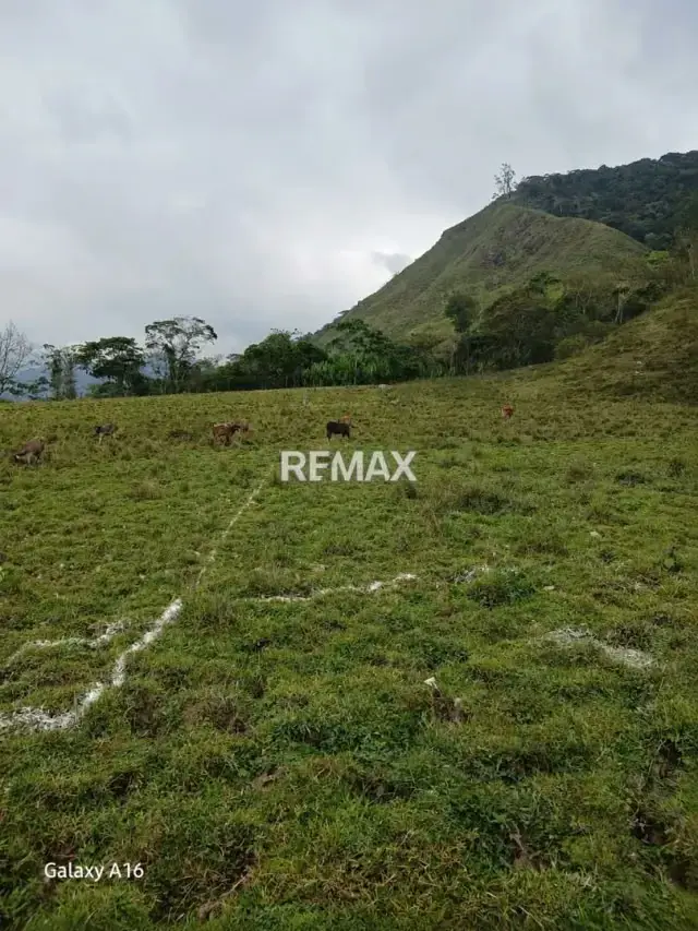 EN VENTA TERRENO EN CORDERO