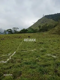 View 1