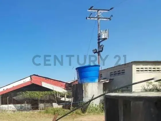 Granja Porcina en Venta con Infraestructura Completa en Lara. Am