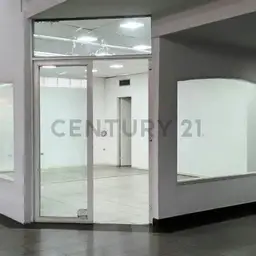 Vista 1