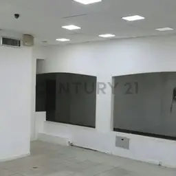 Vista 5