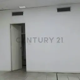 Vista 6