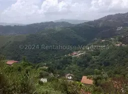 Vista 1