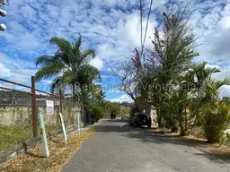 Vista 5