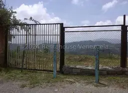 Vista 6