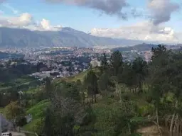 Vista 8
