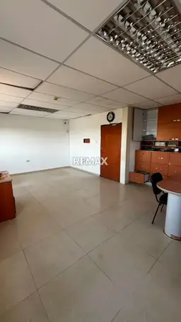 Vista 5