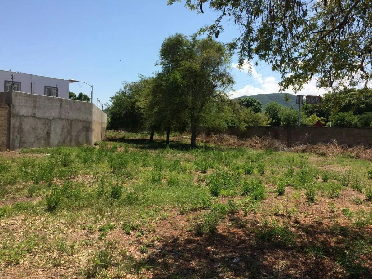 Amplio terreno perfecto para urbanismo - 6