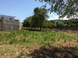 Vista 6