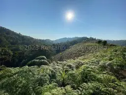 Vista 1