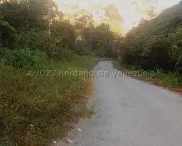 Vista 6