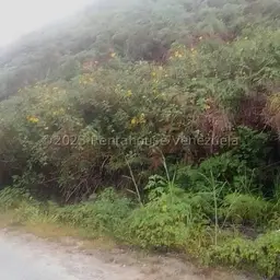 Vista 7