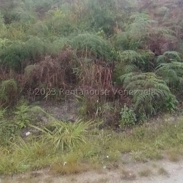 Terreno (Comercial) en Venta en Municipio Guaicaipuro, Miranda - 8