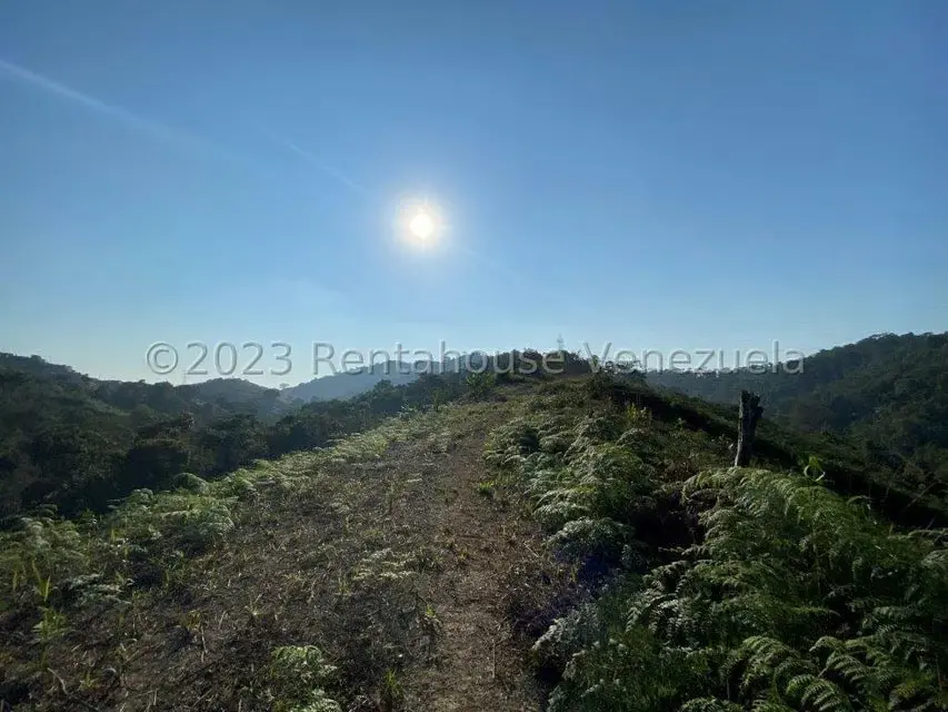 Terreno (Comercial) en Venta en Municipio Guaicaipuro, Miranda - 10