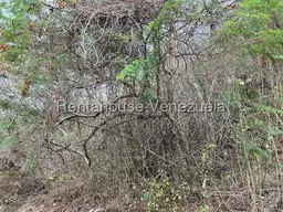 Vista 7