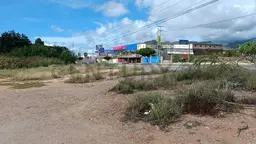 Vista 12