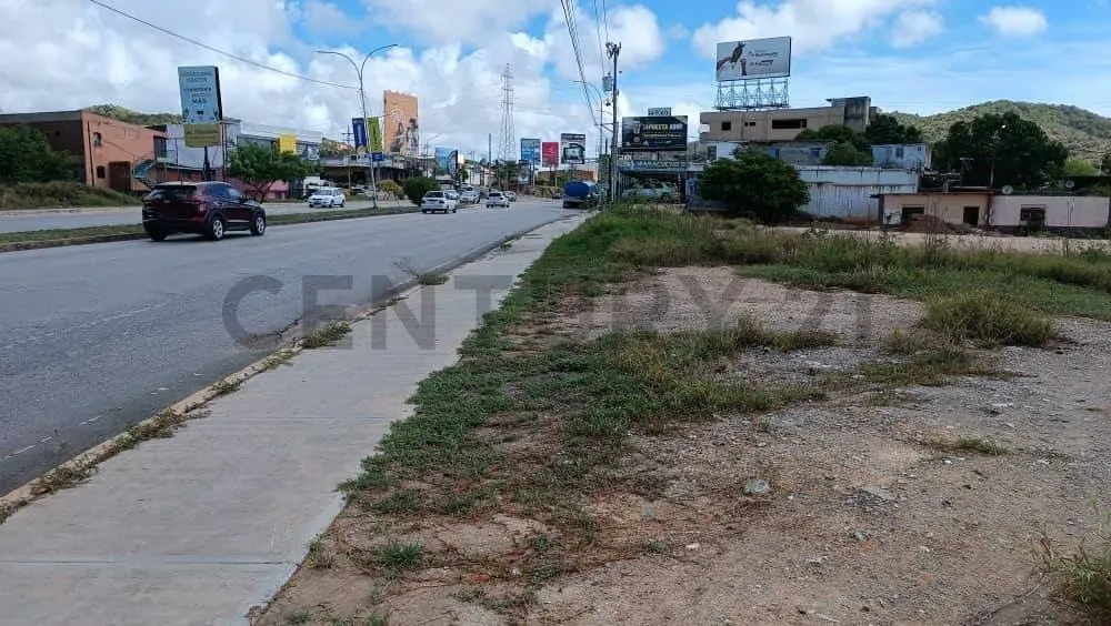 Terreno comercial en zona de alto trafico - 13