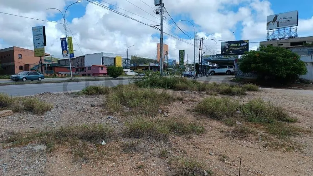 Terreno comercial en zona de alto trafico - 14