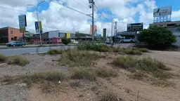 Vista 14