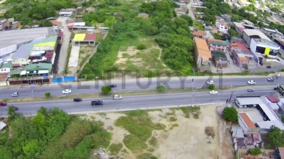 Terreno comercial en zona de alto trafico - 19