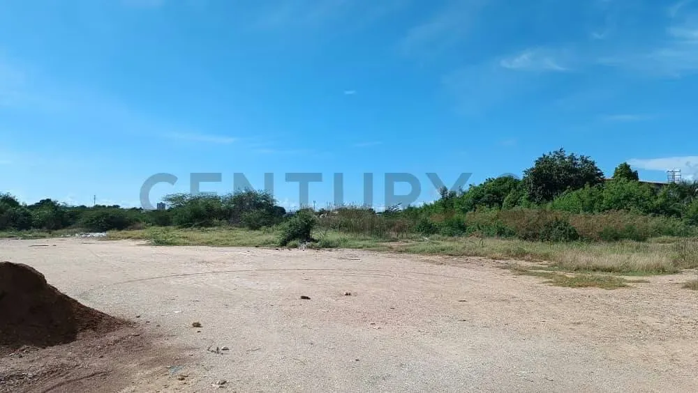 Terreno comercial en zona de alto trafico - 6