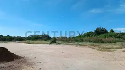 Vista 6