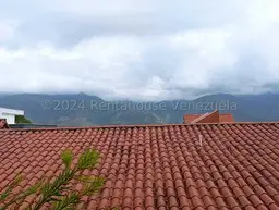 Vista 55