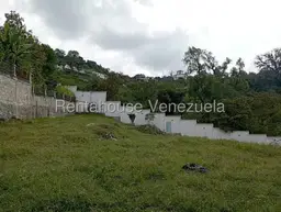 Vista 49