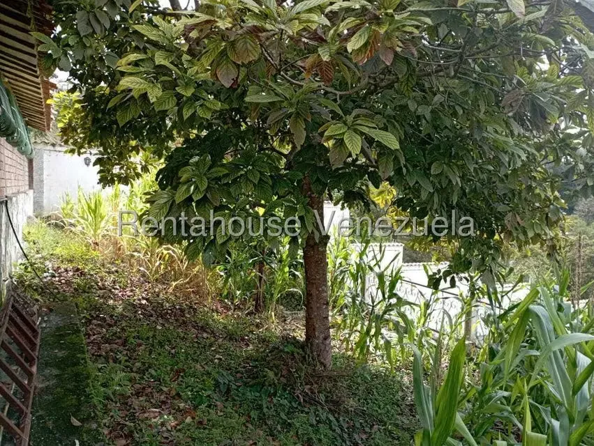 Casa (Casas de Campo) en Venta en Sector El Minual, Merida - 53