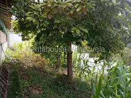 Vista 53