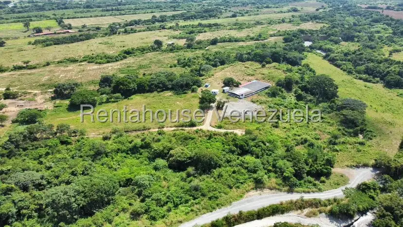 Negocios y Empresas (Alimentos y Bebidas) en Venta en Bruzual, Yaracuy