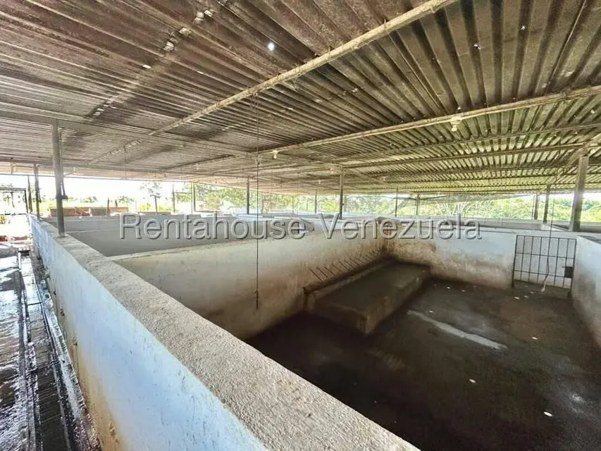 Negocios y Empresas (Alimentos y Bebidas) en Venta en Bruzual, Yaracuy - 11