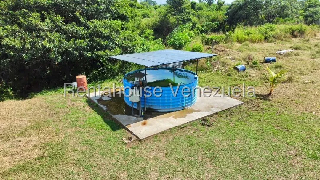 Negocios y Empresas (Alimentos y Bebidas) en Venta en Bruzual, Yaracuy - 15